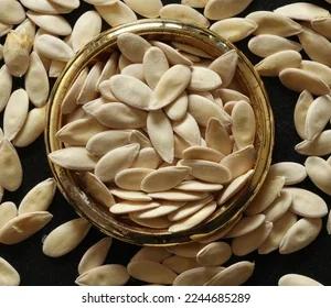 MUSK MELON SEED CHAAR MAGAJ