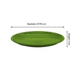PLASTIC PLATE OVAL 11"